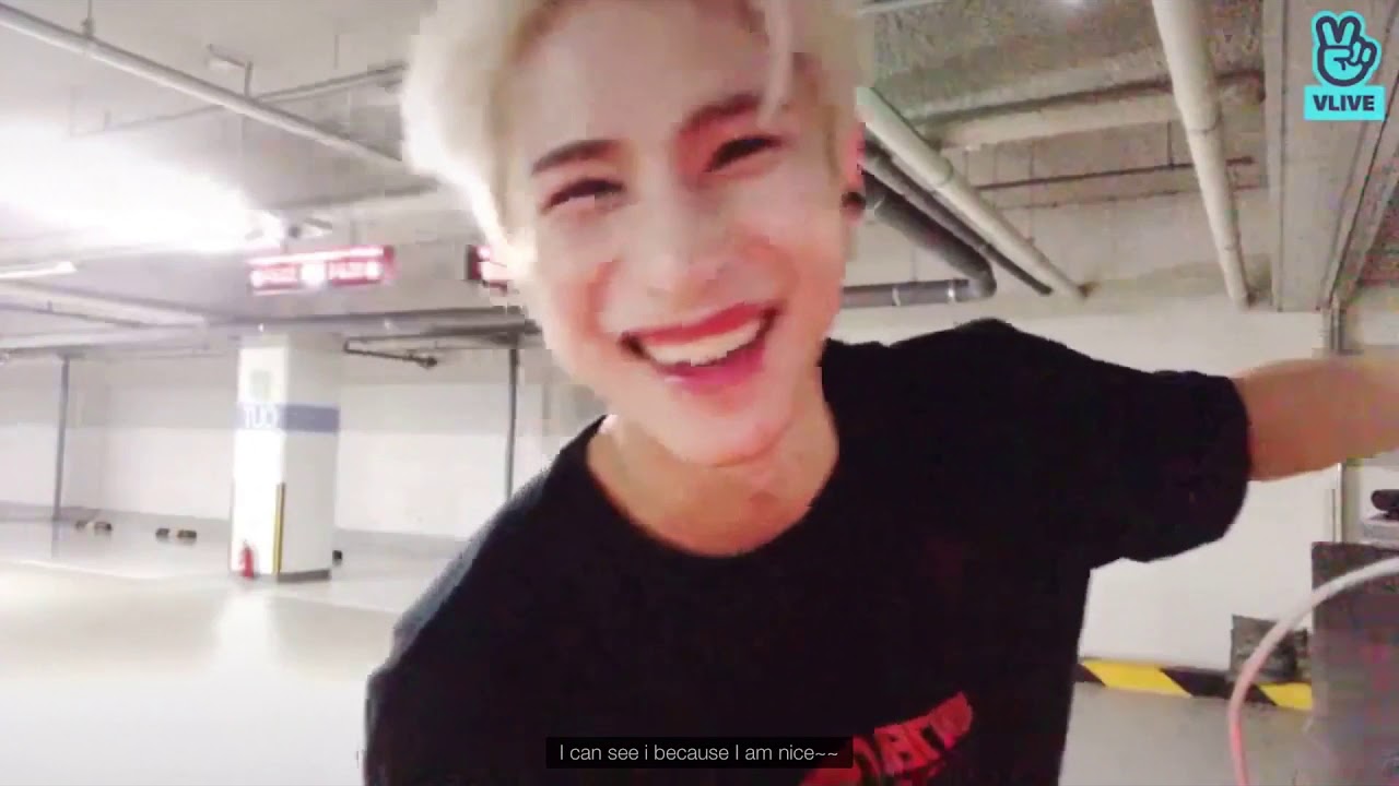 A.C.E Sehyoon and his non-human friends XD
