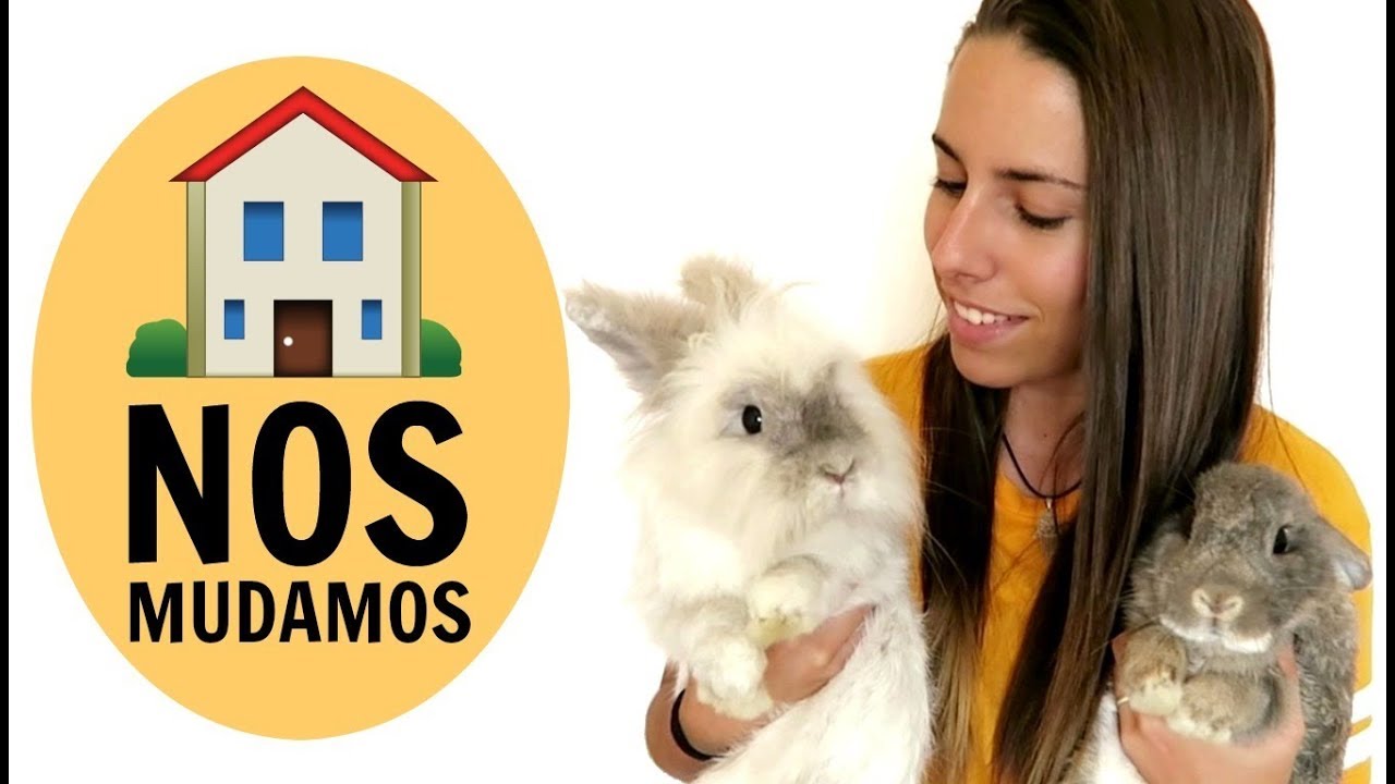 ¡Me mudo de casa con los enanos! 🐰