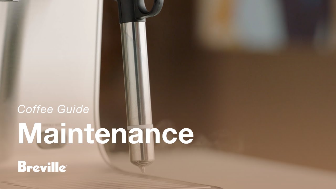 The Oracle® | Cleaning and unblocking your steam wand for milk texturing perfection | Breville USA