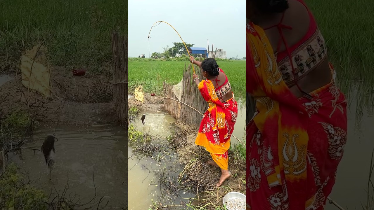Amazing lady hook fishing in the village mud water #shortvideo #video #viral #fishcatching #fishing