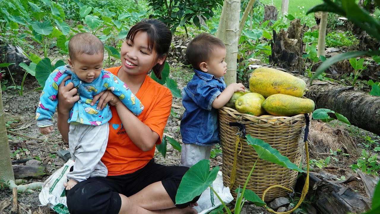 Harvest enough to sell at the market, and design a farm for the family,Taking care of two sons.
