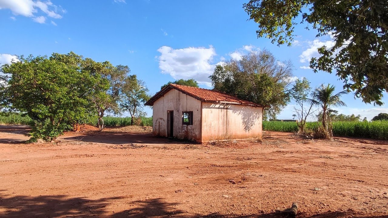 Um Casal Estava Distraído na Cama, e No Quintal Acontecia Algo Que Mudaria Suas Vidas Para Sempre