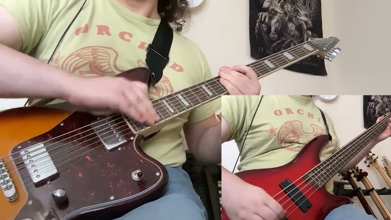 Melvins - Eye Flys (Baritone Guitar / Bass Cover)