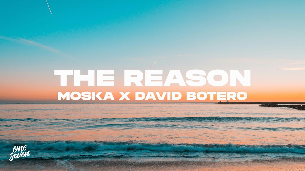MOSKA, David Botero - The Reason