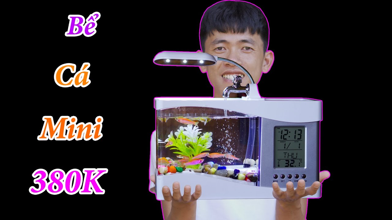M&ecirc; Mẩn Với Bể C&aacute; Cảnh Mini Si&ecirc;u Cute Gi&aacute; 380K || Anh C&ocirc;ng Nguy&ecirc;n