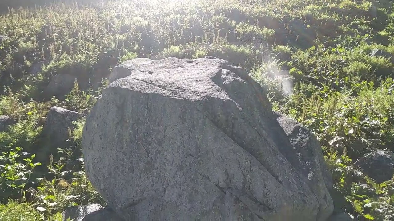 Rize Ardeşen dere yaylası bu güzel doğa için abone olunur saygılar