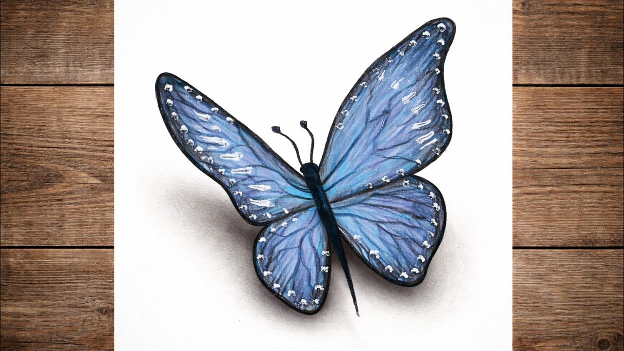 How to Draw realistic Butterfly Using Pencil Colors | Step by Step Easy Drawing