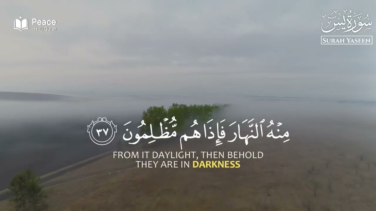 Surah Yaseen سورة يس   | Recitation  Quran | Touching Heart  | Tilawat  | Peace Holy Quran