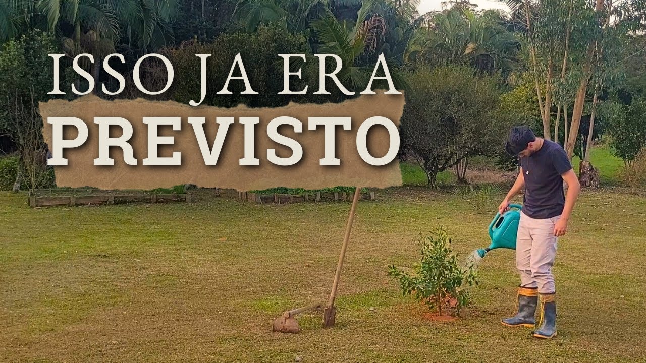 Por que morar no campo virou tendência?🌾