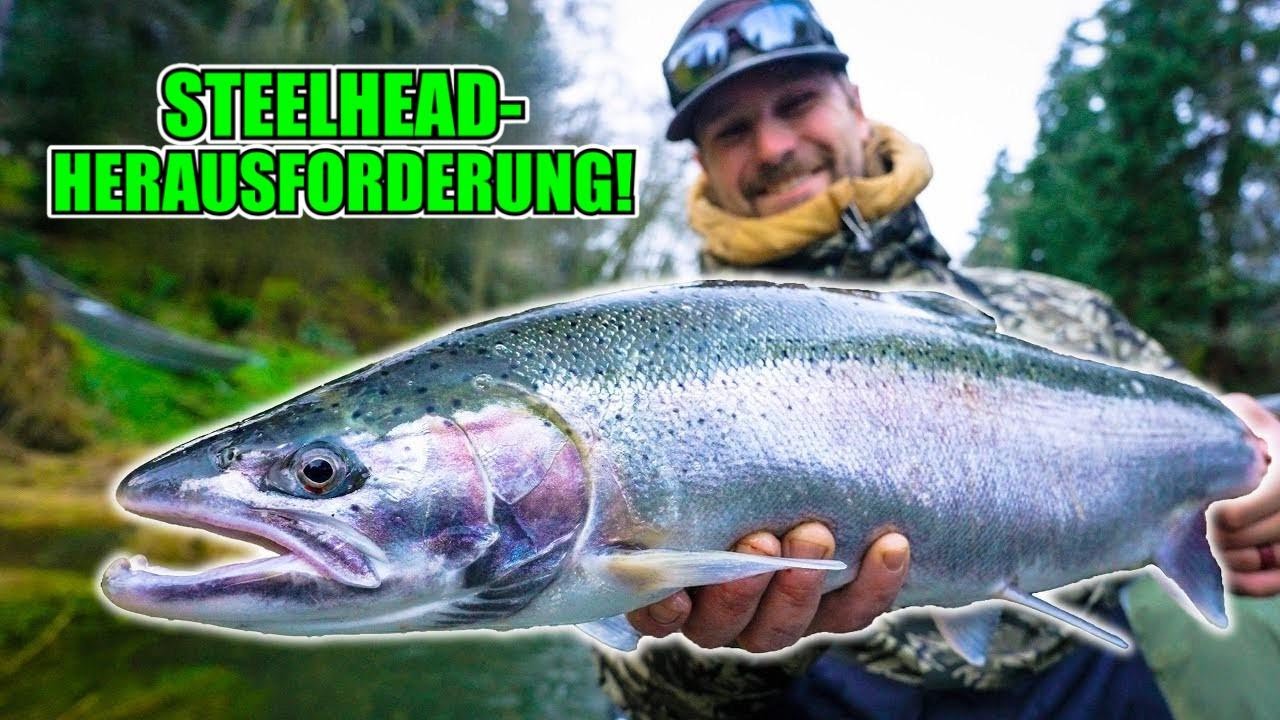 Frühe Winter-Steelhead – Damit hab ich nicht gerechnet! (Extra: Jahresrückblick)