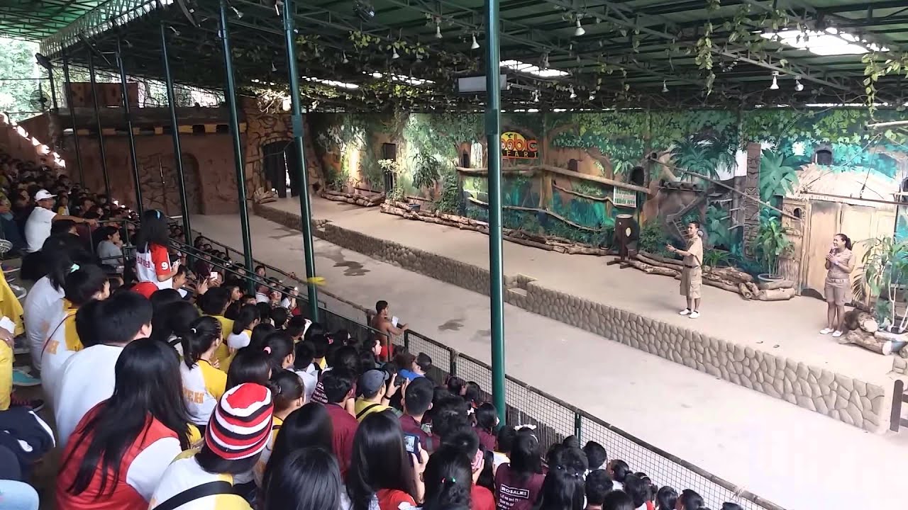 Zoobic Safari Animal Show