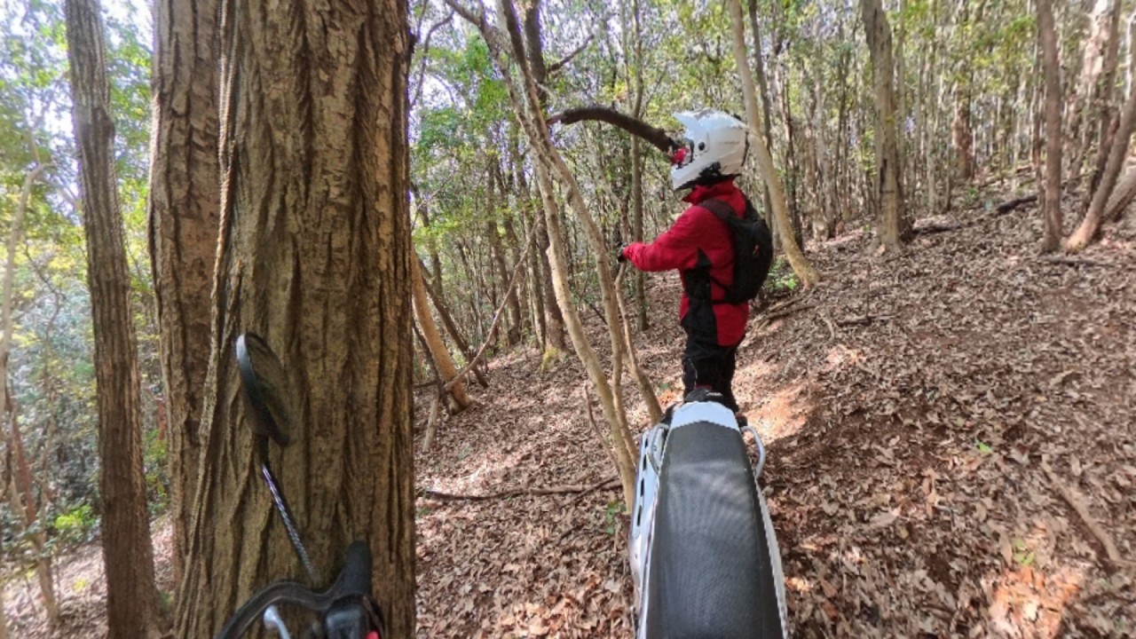 おひさのＮ崎街道Ｈ野峠付近