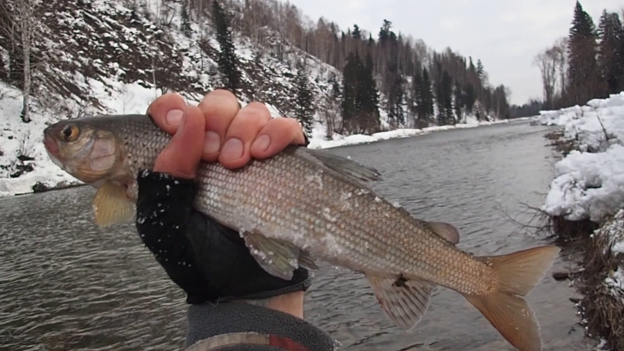 Верхняя Терсь 04.11.2016