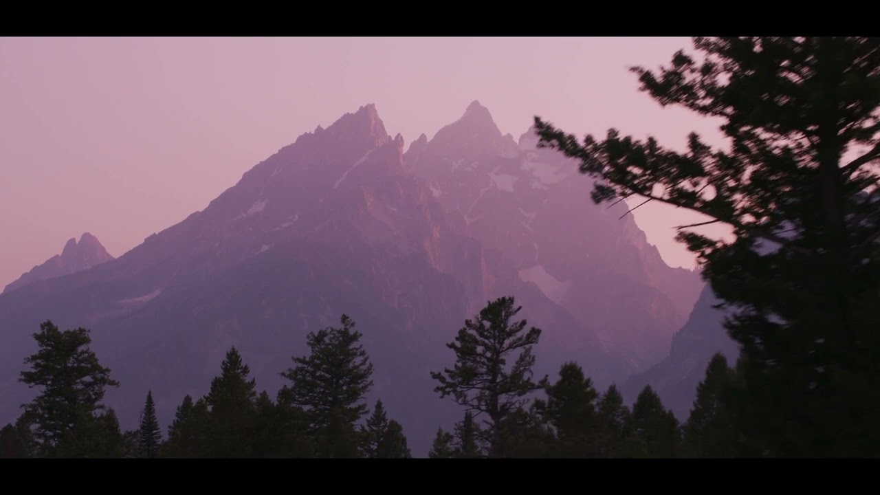 Comfort and Loss Nature - A Cinematic Nature Meditation (No Talking)