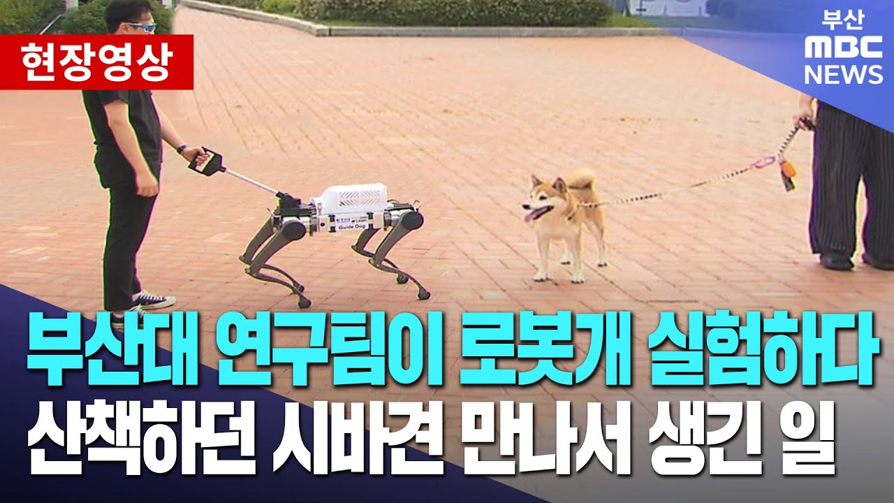 부산대 연구팀과 로봇개 취재하다가 진짜 개를 만났는데.. | 현장영상