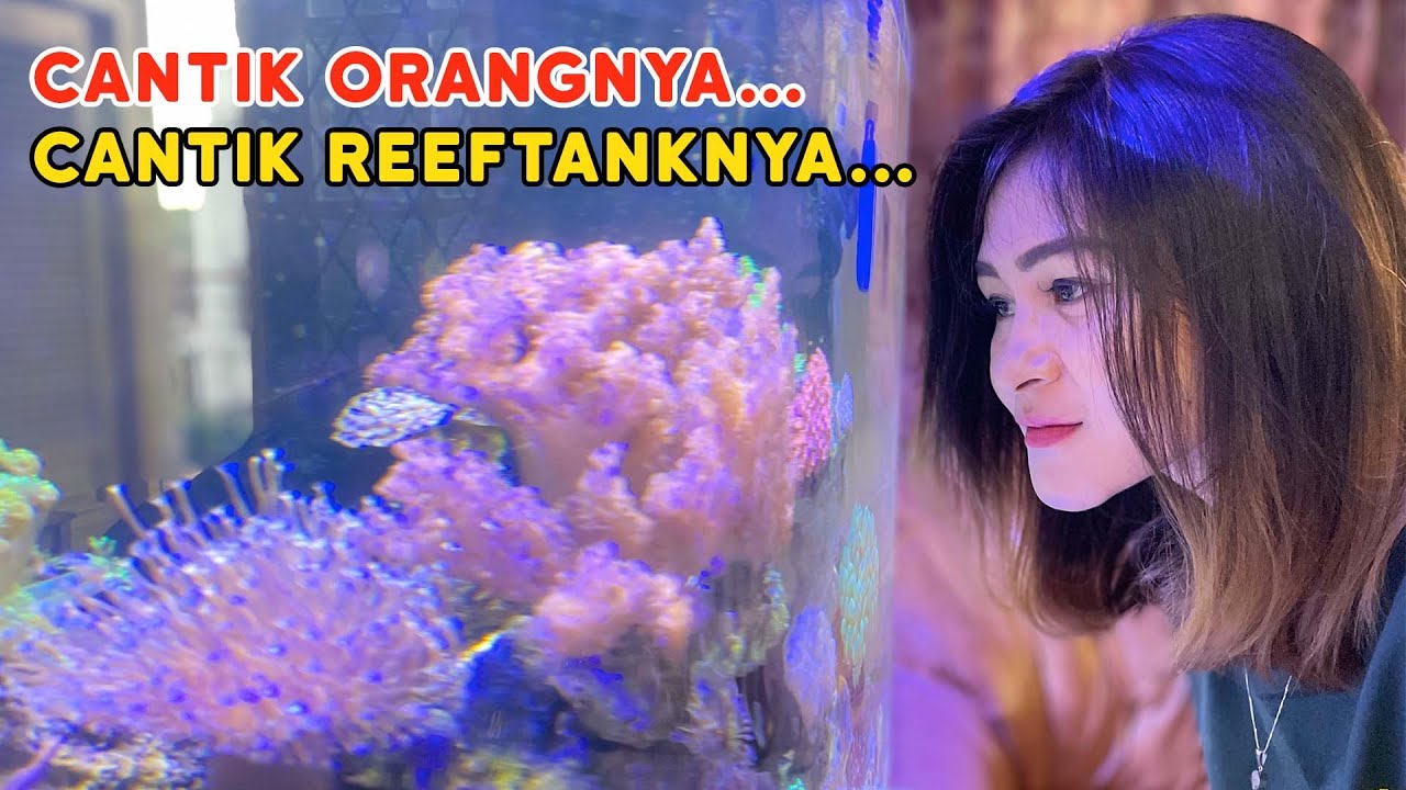 Ngopi Bareng Reefer ft Kurnia Rahma - Cara Simpel Merawat Aquarium Laut!