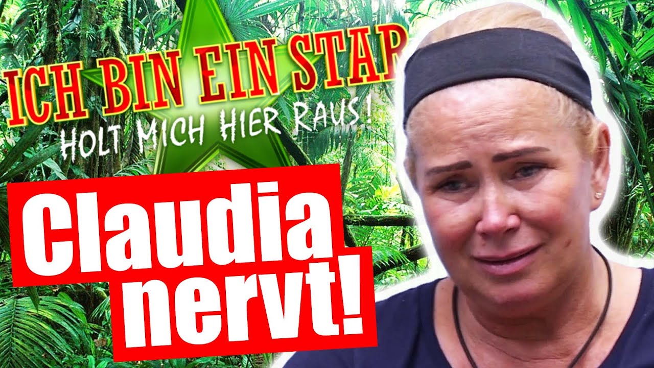 Dschungelcamp 2023: CLAUDIA EFFENBERG NERVT!