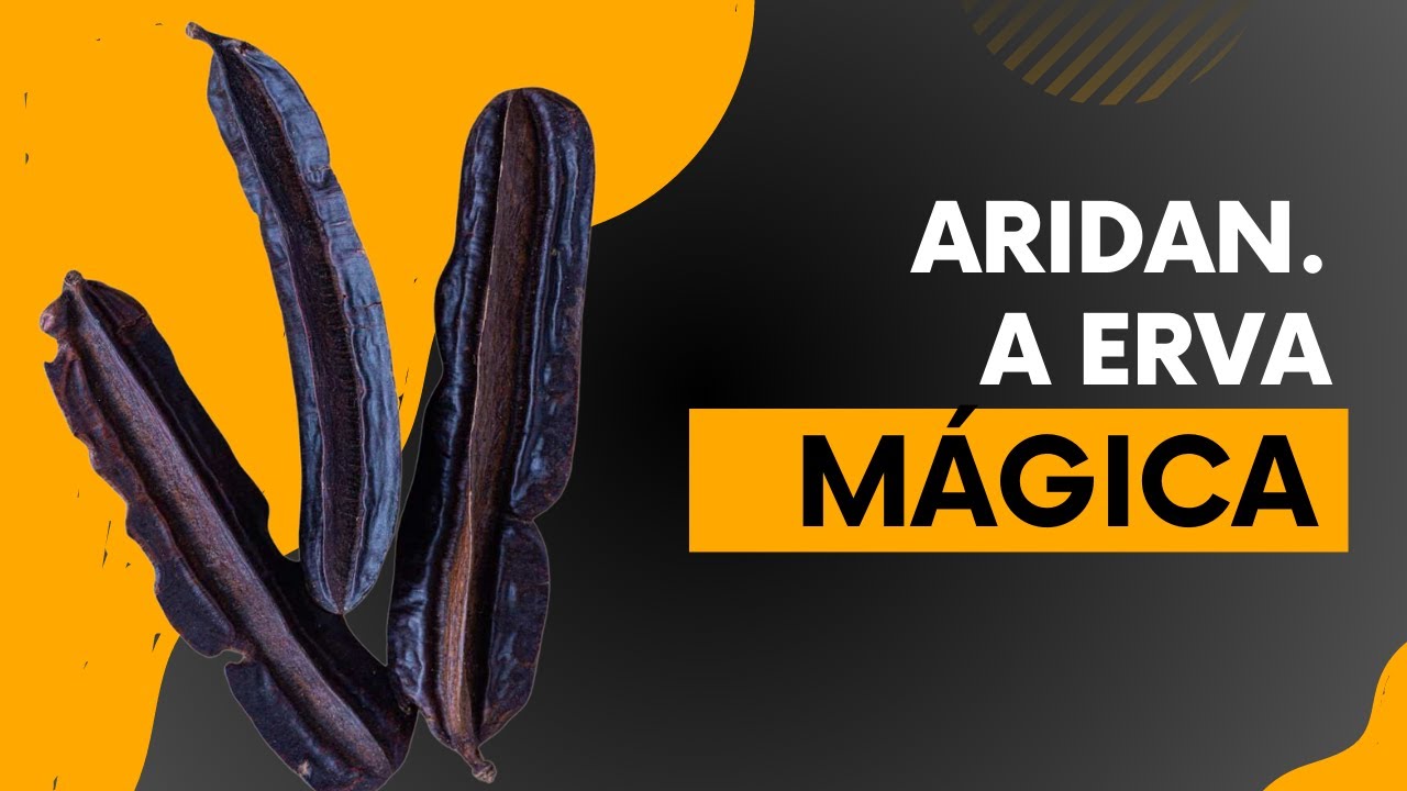 Aridan. O tempero sagrado dos Orixás.      @kitandadosorixas