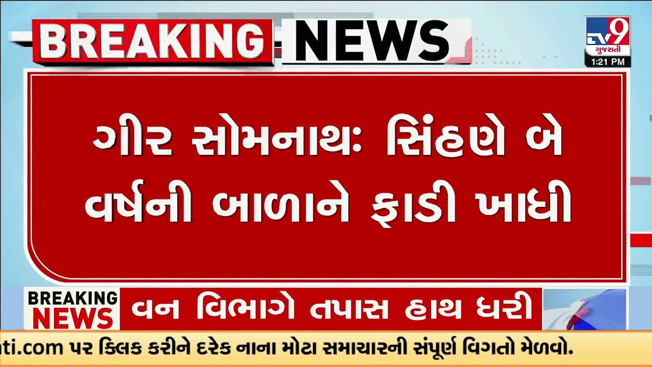 Gir Somnath: Lioness Kills 2-Year-Old Girl in Pichhvi Village; Forest Department Investigates | TV9