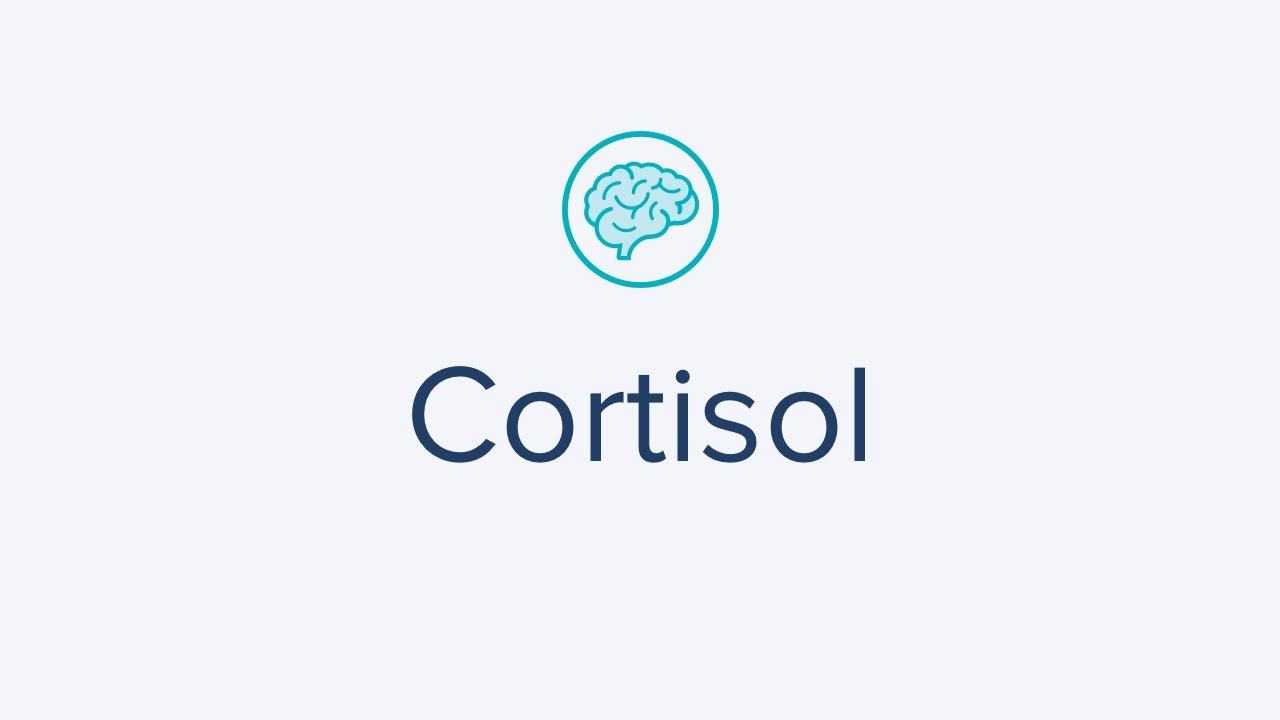 Cortisol Test for Fatigue, Weight Change & Measure Adrenal Performance/Stress