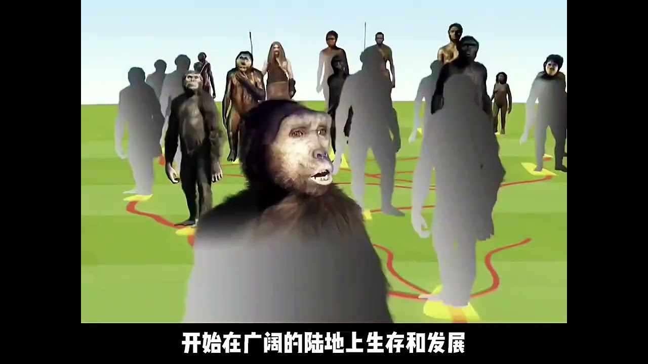 古猿学会了直立行走，奔跑和狩猎，但他们依然逃不过剑齿虎捕杀！ #影视解说 #二次元 #史前巨兽 #纪录片解说 #古人类