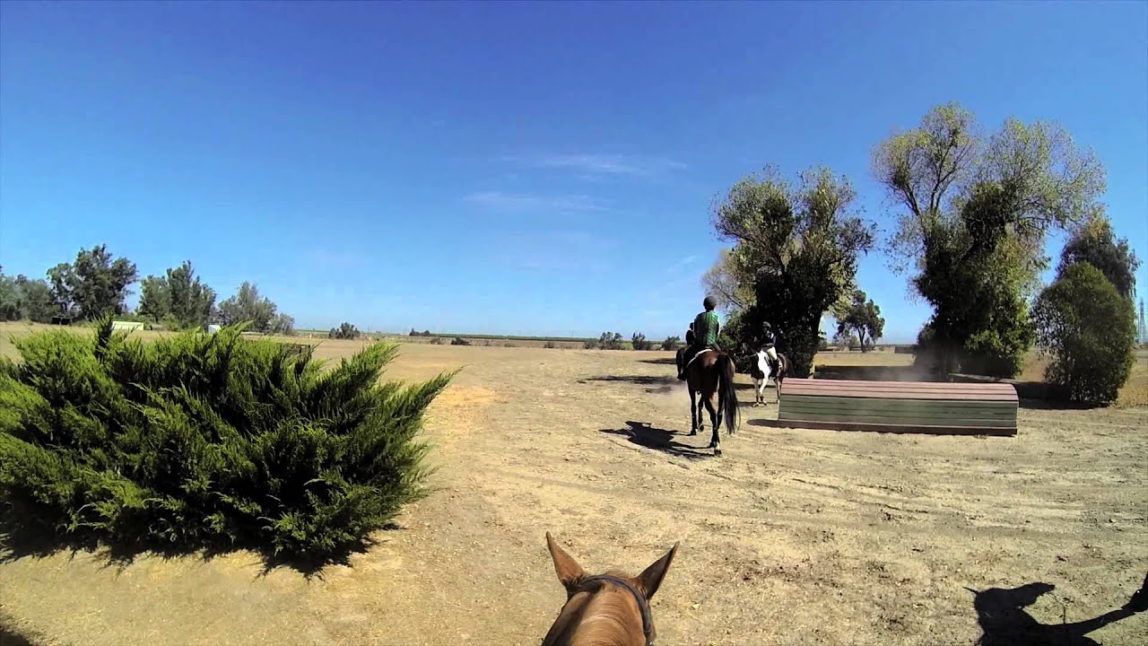 UC Davis 3 Day Eventing Team XC Schooling