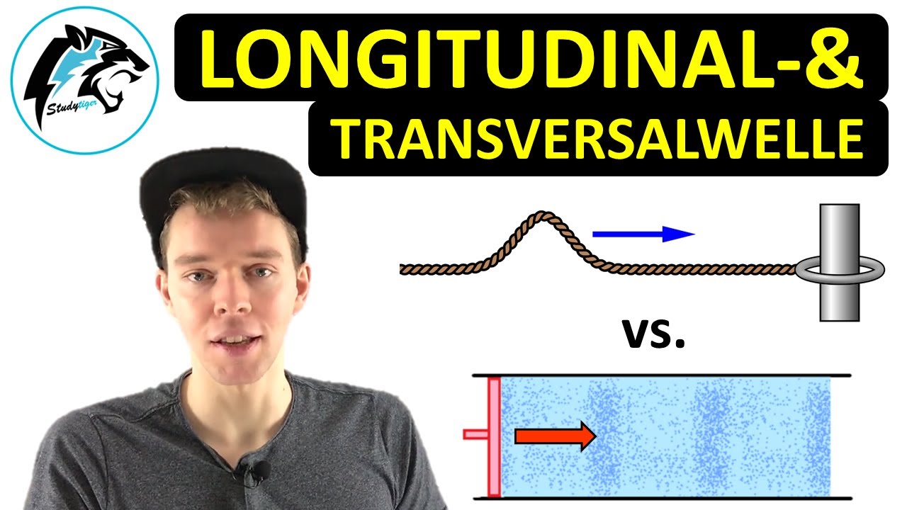 Transversalwellen vs. Longitudinalwellen | Physik Tutorial