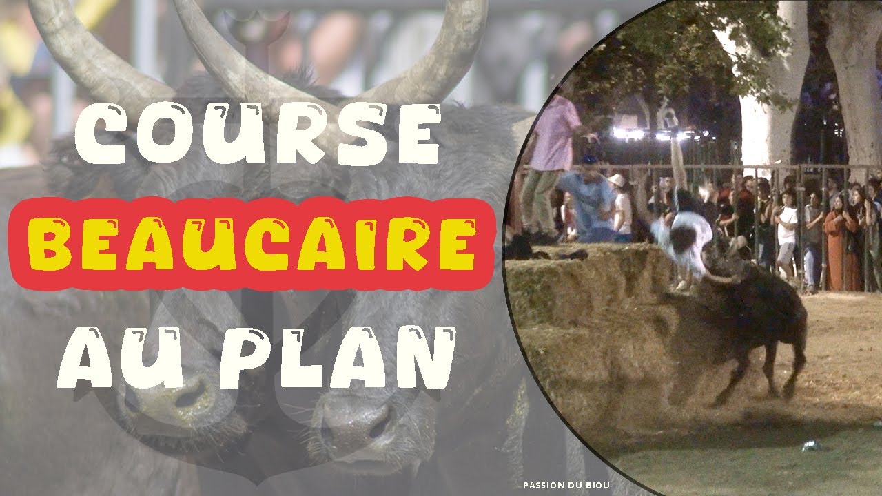 BEAUCAIRE Course au plan 27&28-07-2024 🔥