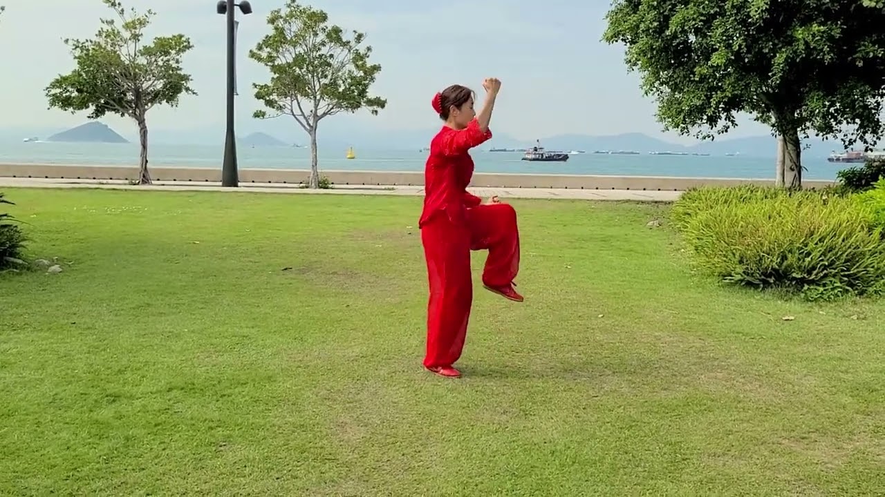 진식태극권 56식 陈式太极拳56式 chen style taichi 56forms