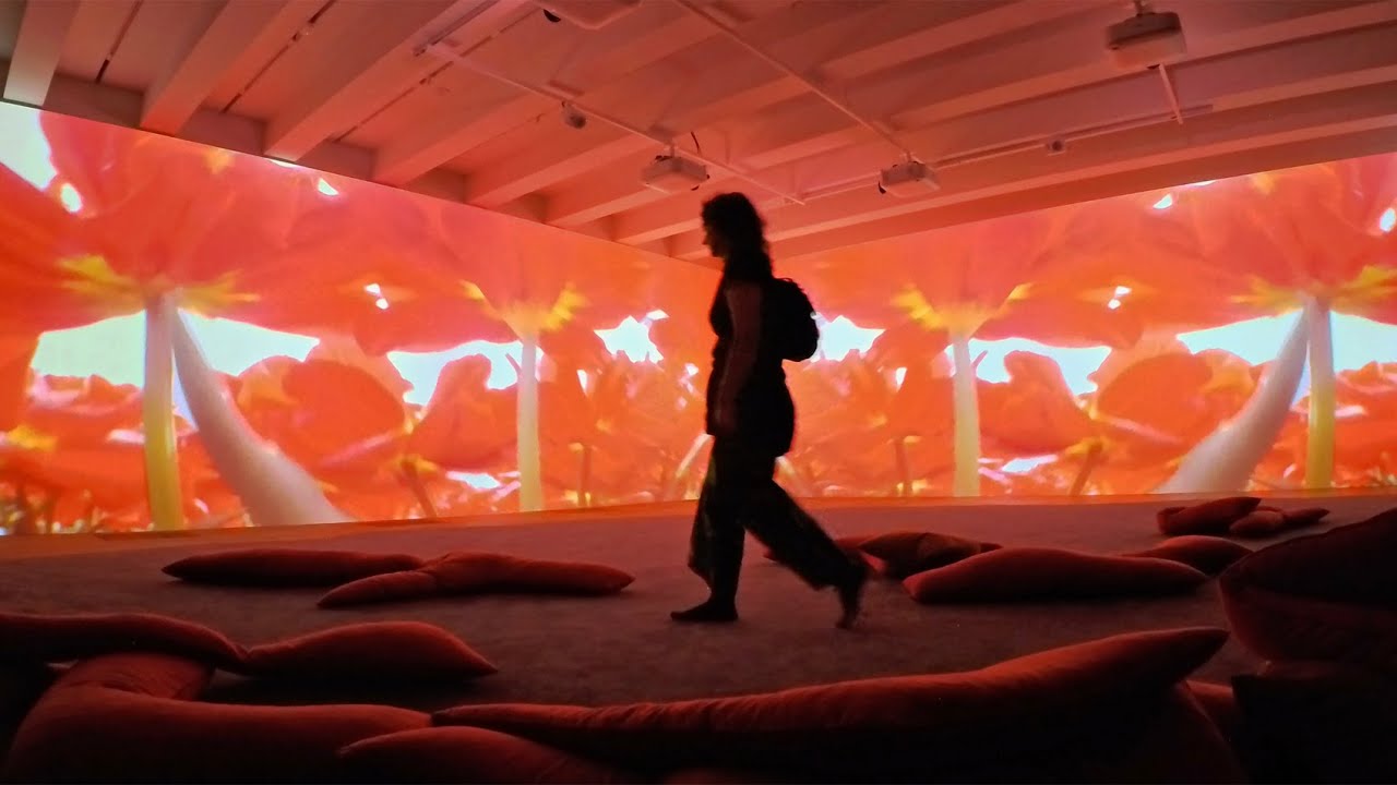 Lungenfl&uuml;gel by Pipilotti Rist