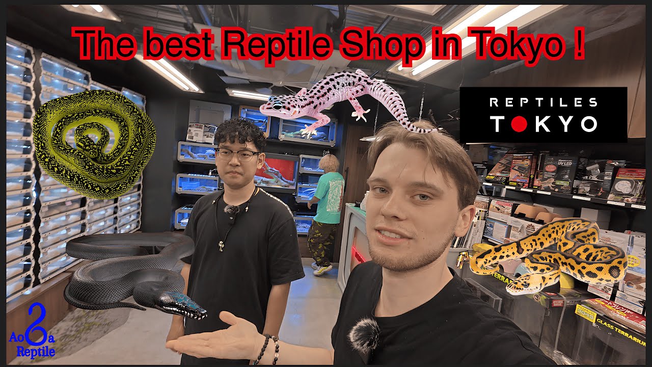 REPTILES TOKYO: THE BEST REPTILE SHOP IN TOKYO! (full version)