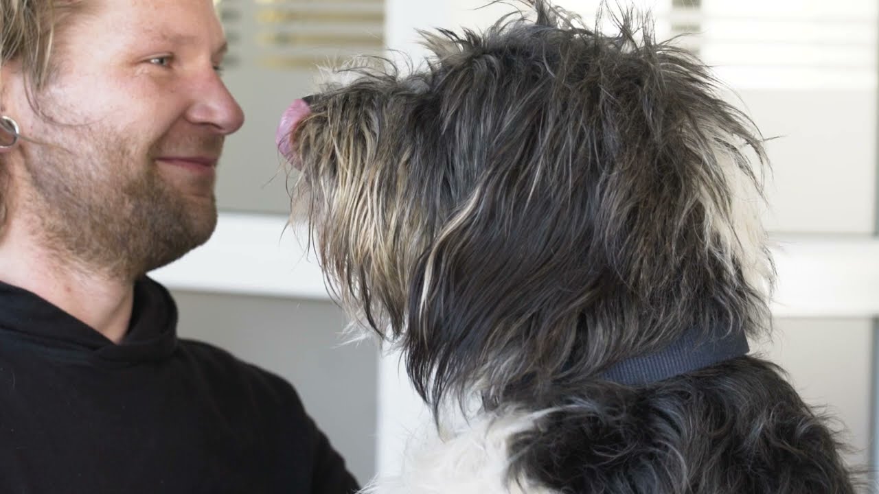 WIR sind EIN TEAM! HAUS WIDUM - GRUPPE