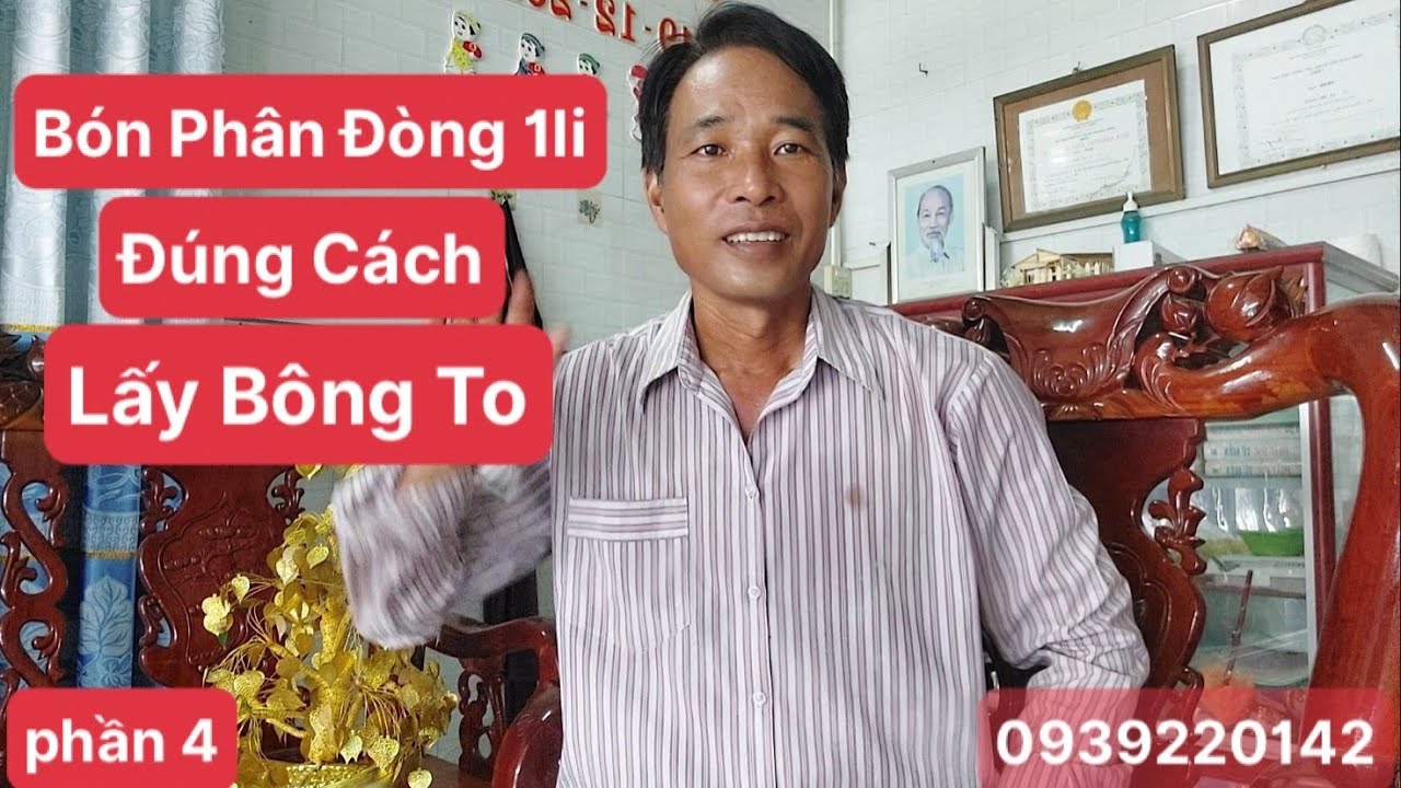 BÓN PHÂN, đòng đòng, đúng cách, lấy bông to