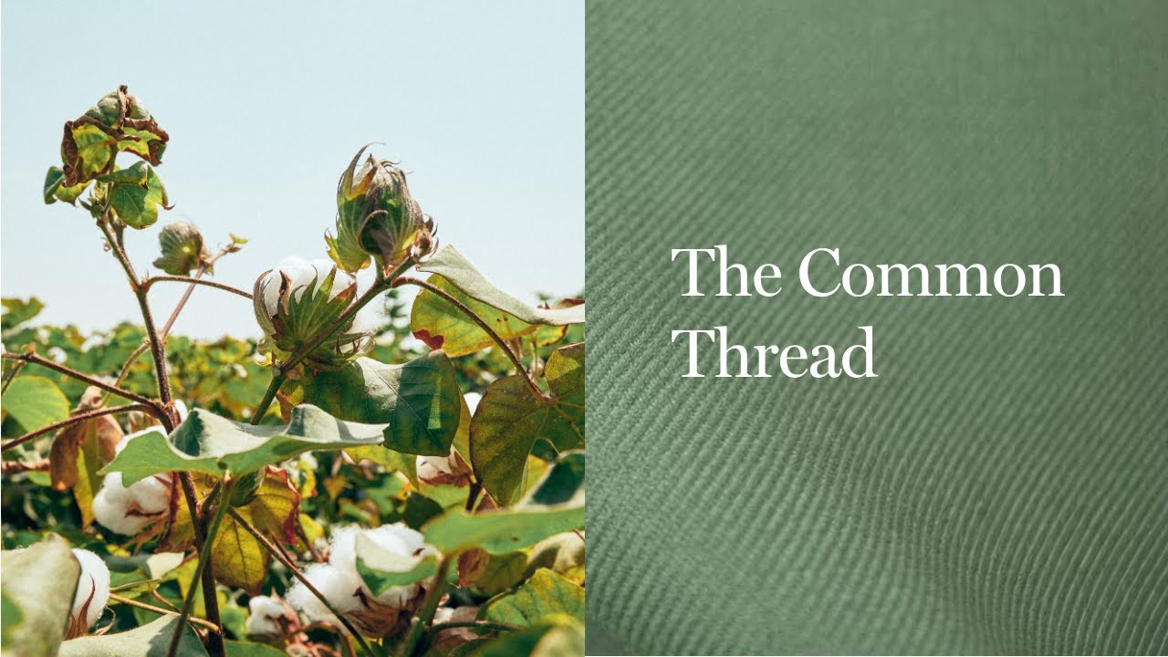 The Common Thread