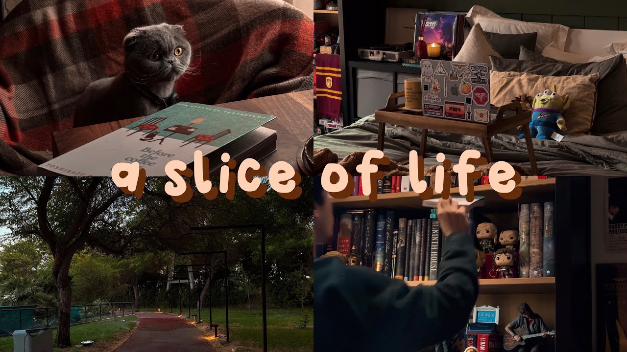 ch.3 alone but not lonely | cleaning bookshelf, chill days, zelda tears of the kingdom 🕯️🍃✨
