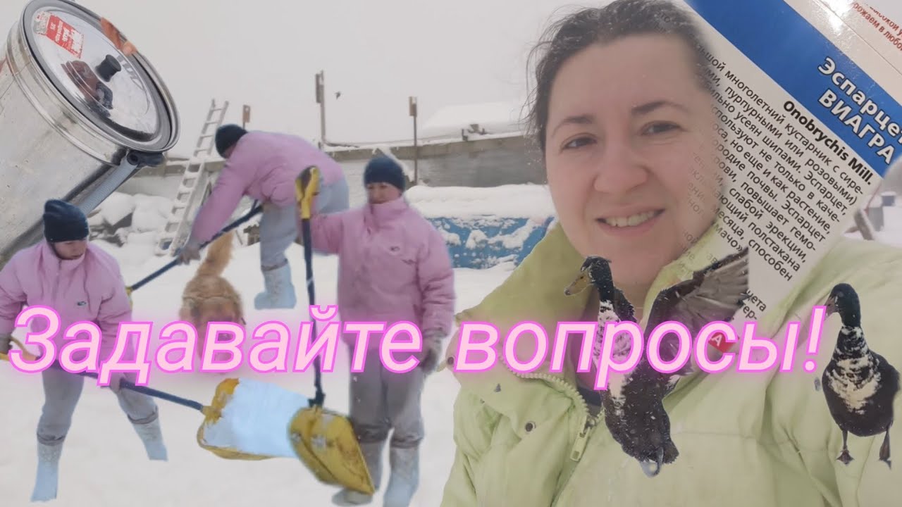 ЖИВЁМ В ДЕРЕВНЕ: снежный коллапс, семена на этот год, сломала маслобойку, пишите ваши вопросы!