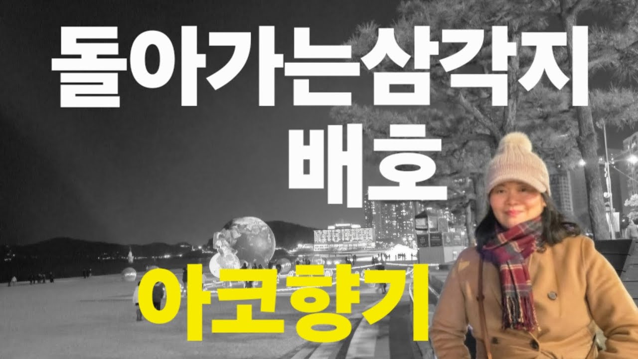 #돌아가는삼각지(배호)#아코디언#배호가수님의 명곡💖바쁜가운데 나의 애창곡을 연주해 보았슴다                          