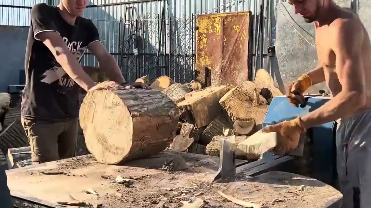 Forest Warriors – Cutting Through the Wild