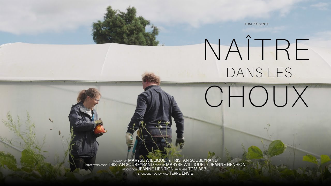 NAÎTRE DANS LES CHOUX