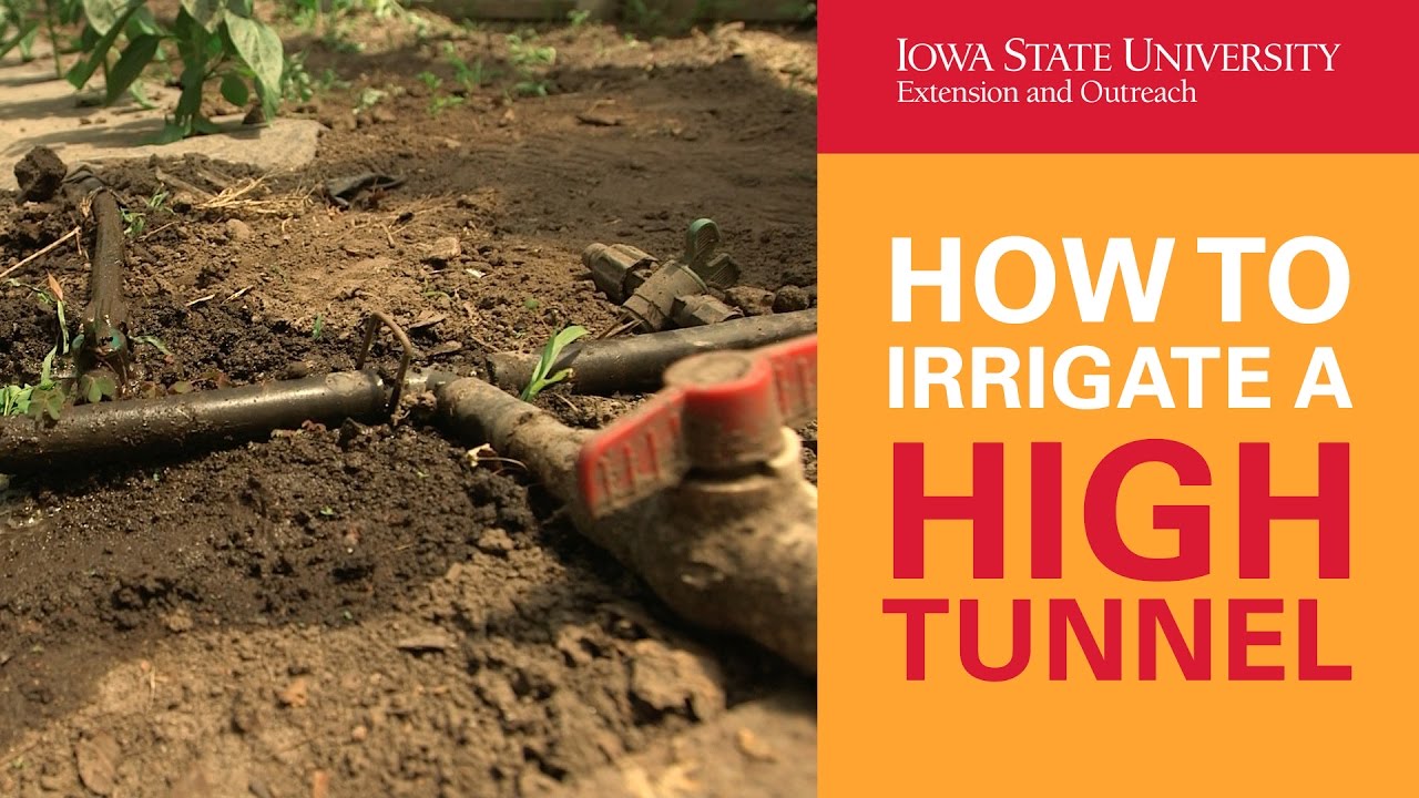 How to Irrigate a High Tunnel