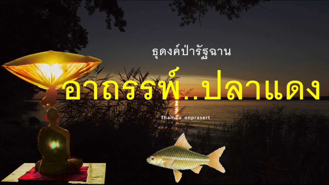 ๑๖๓. อาถรรพ์ปลาแดง ธุดงค์่ป่ารัฐฉาน