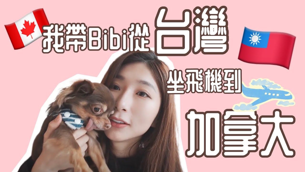 從台灣帶十歲的狗狗到加拿大溫哥華全記錄！