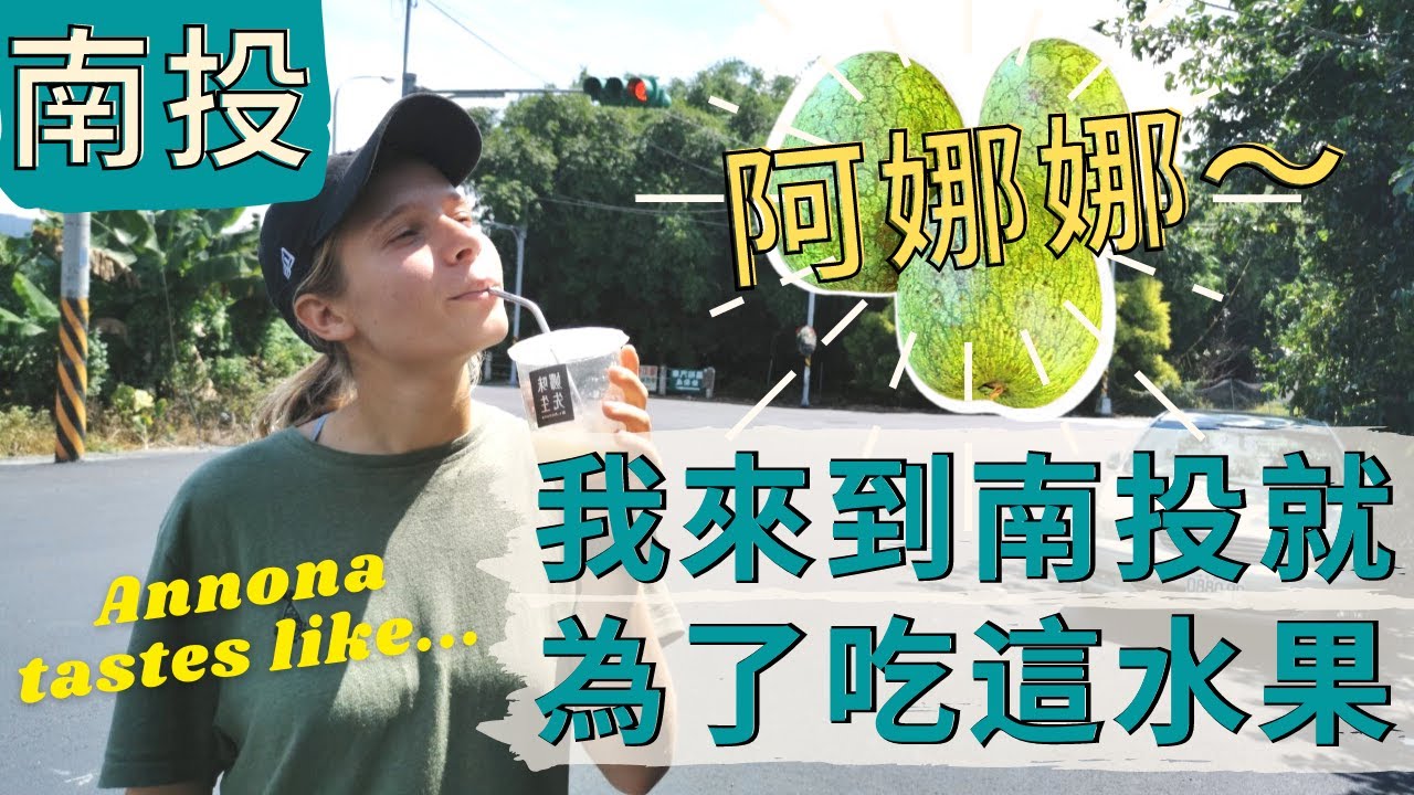 我們竟然為了這水果來南投!! 只有南投吃的到!! 挑戰全台最長的吊橋!! 日月潭新景點| 雙龍七彩吊橋| 南投美食 - Nantou trip, trying rare Annona fruit