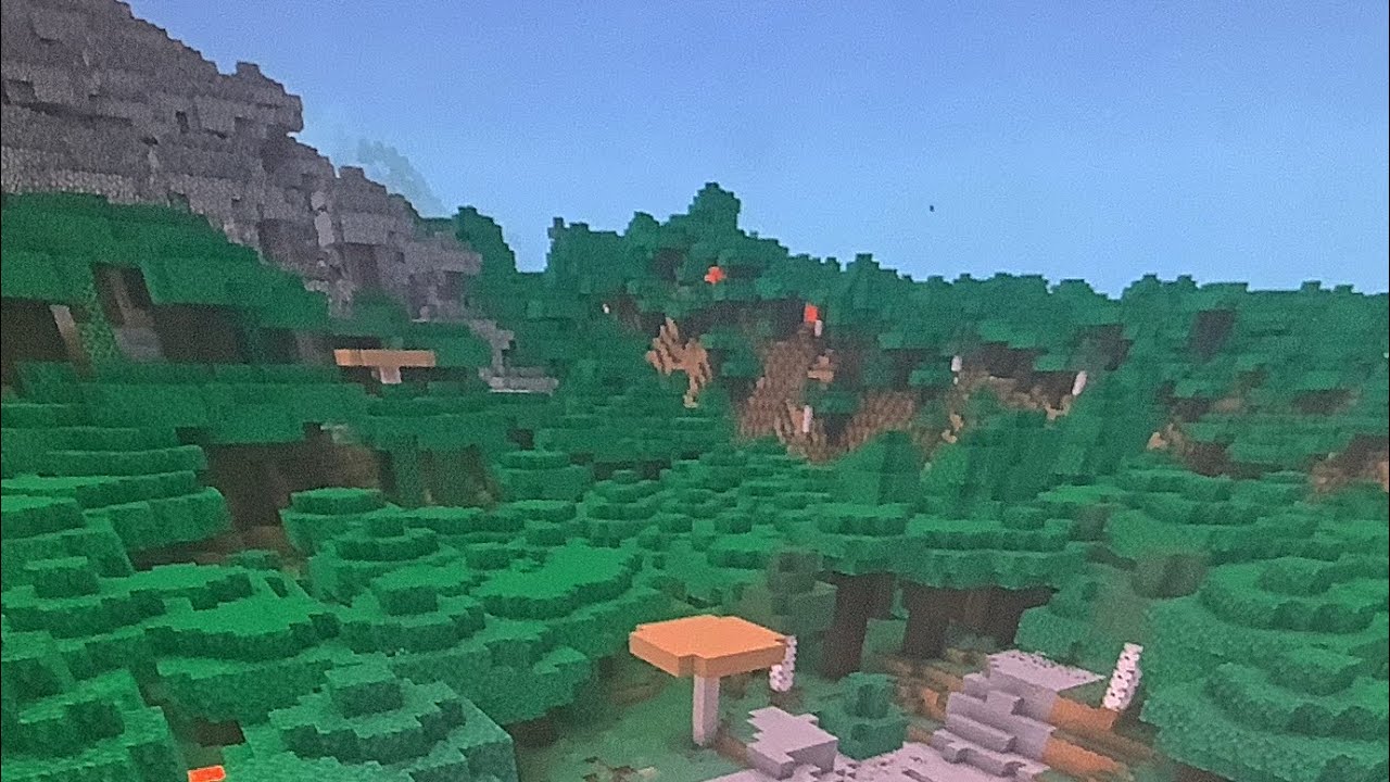 The start of the Overall smp