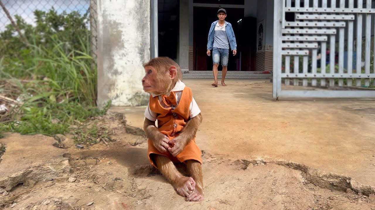 So sad! Cutis has unusual actions when missing about mom