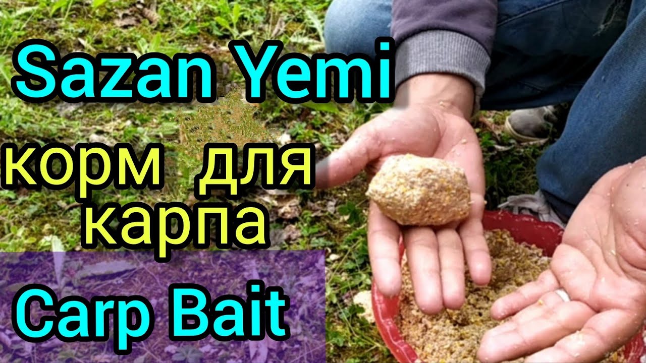Sazan Yemi hazırlanması/Sazan Hamuru /корм для карпа/Carp Bait