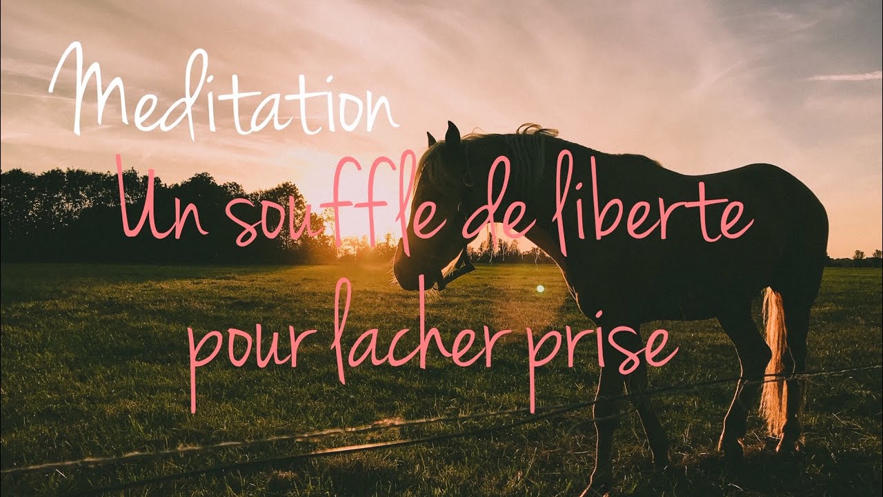 Méditation | Lâcher prise | Se libérer et se sentir libre | Anxiété, burn-out, stress