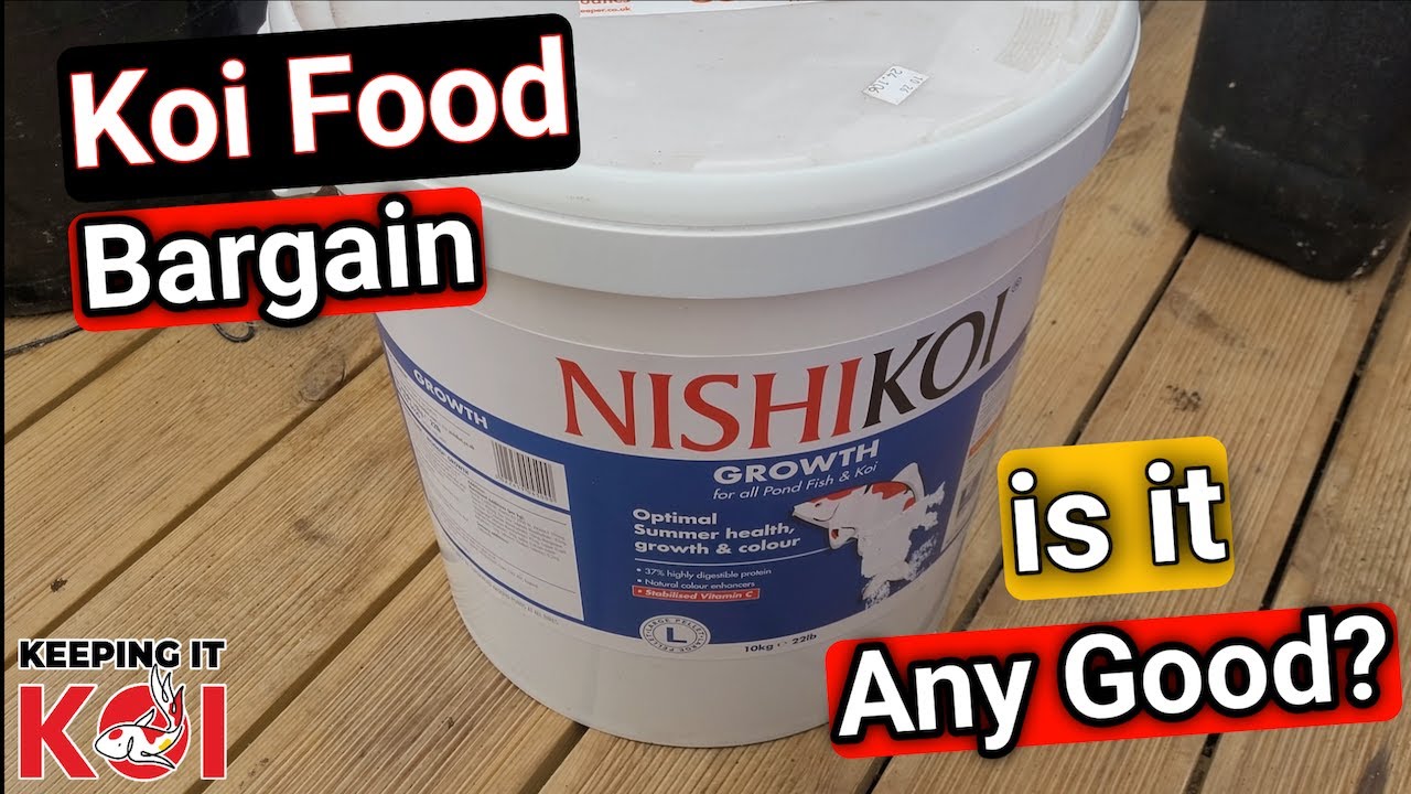 Koi Food Bargain of the Century Nishikoi Growth