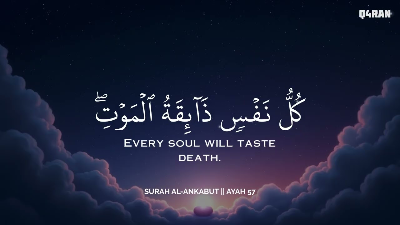 ساعة كاملة🕛🎧 | تلاوة تقشعر لها الأبدان بصوت عبدالولي | Reciter Abdulwali Alarkani | 💚🎧