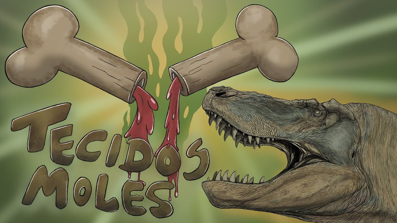 Criacionismo [13] - Tecido mole em fósseis de dinossauros